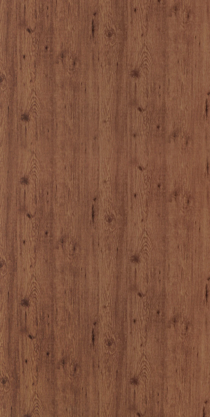 Novoceno Pine